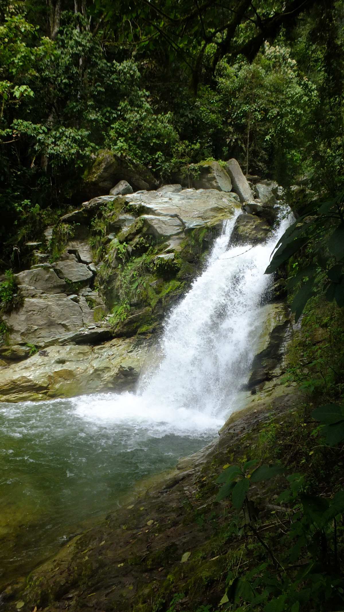 cascadas del rio verde
