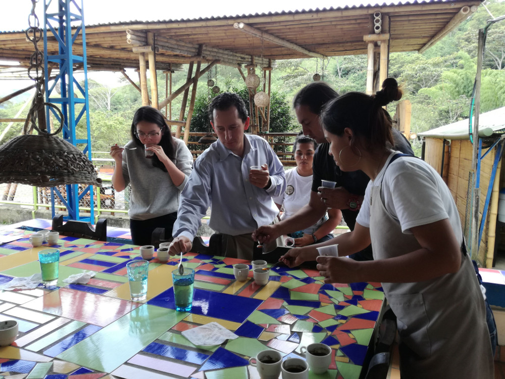 Ruta del cafe en el quindio