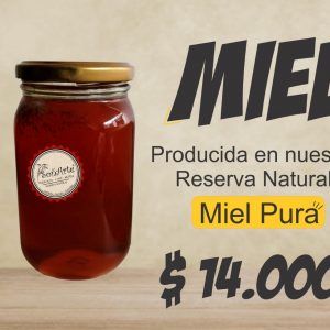 Miel Soñarte