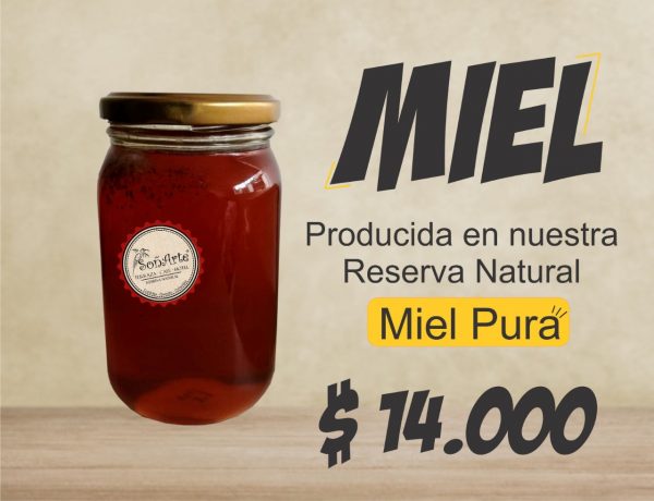 Miel Soñarte