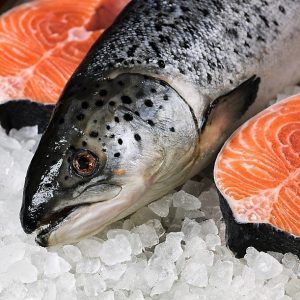 Salmon Chileno x 1000g