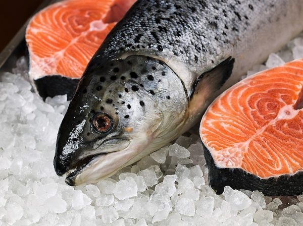 Salmon Chileno x 1000g